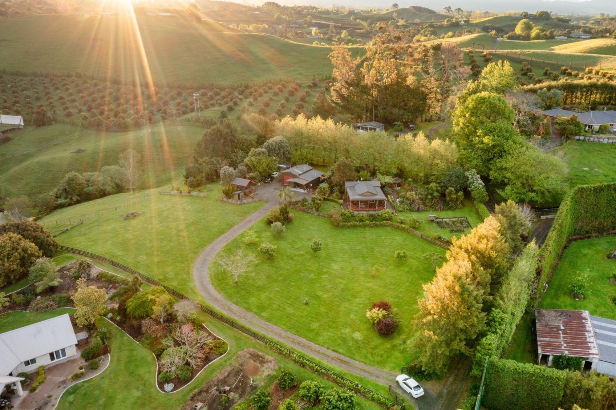 Swiss-Kiwi Cottage And Retreat, B&B Tauranga Zewnętrze zdjęcie